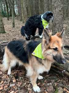 Fleur and Karenza taking part in Paws & Shoes