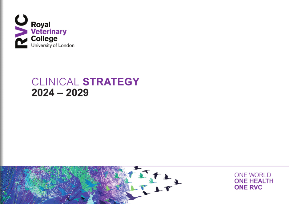 front cover of the Clinical Strategy 2024-2029