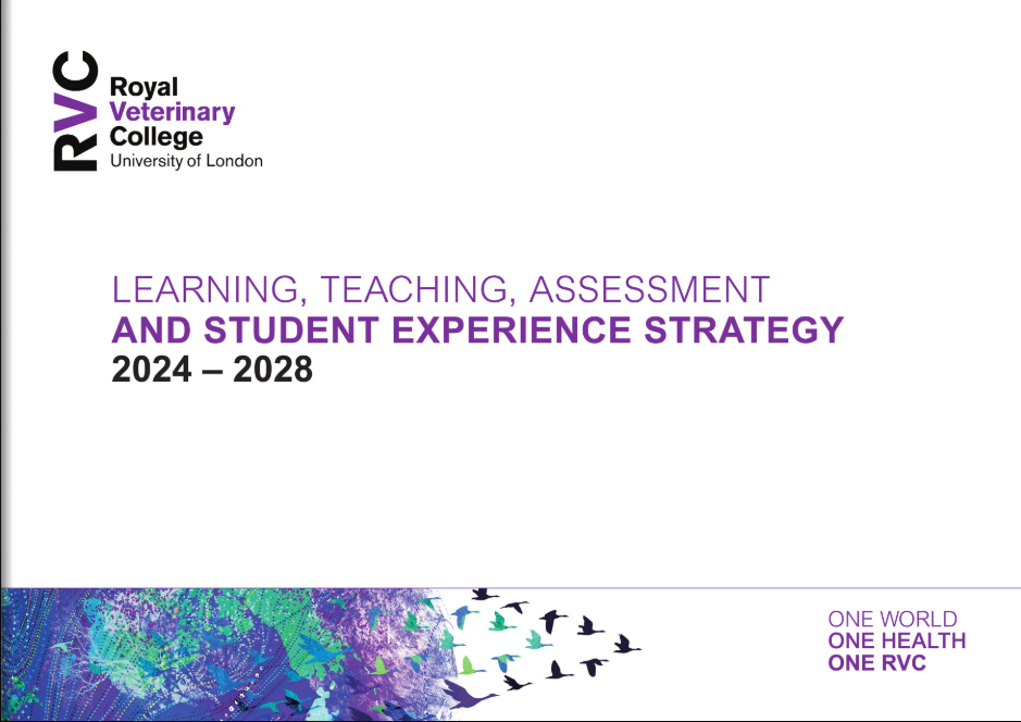 front cover of the Learning, Teaching, Assessment and Student Experience Strategy 2024-2028