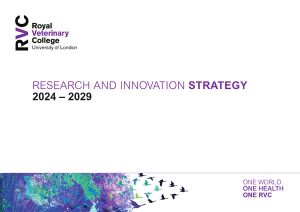 front cover of the Research and Innovation Strategy 2024-2029