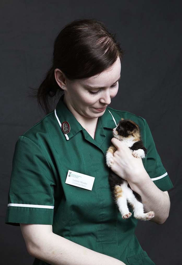 Veterinary Nurse holding kitten