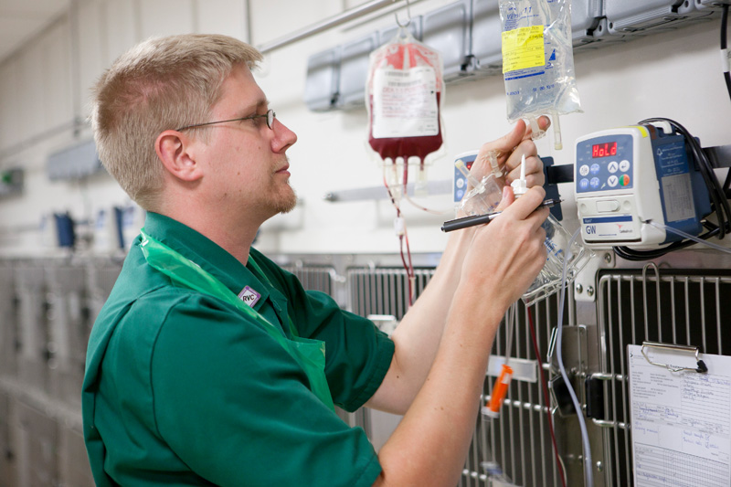 nurse checking fluid bag