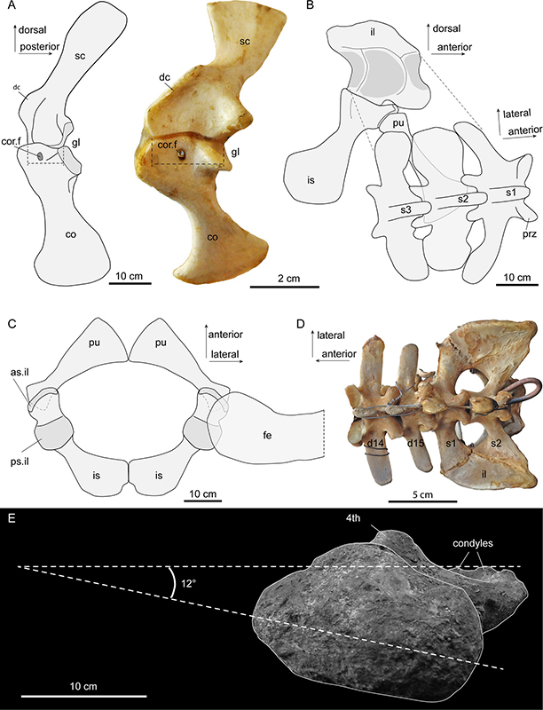 Fig2