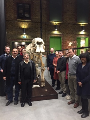 A delegation of faculty members and a group of graduate students from the College of Veterinary Medicine at Jordan University of Science and Technology (JUST) photographed in the Lightwell at our Camden Campus.