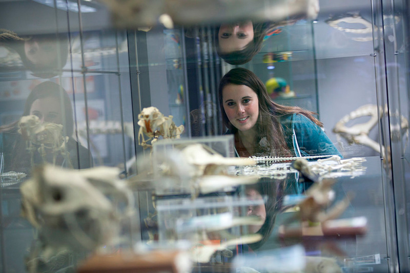 student with museum exhibits