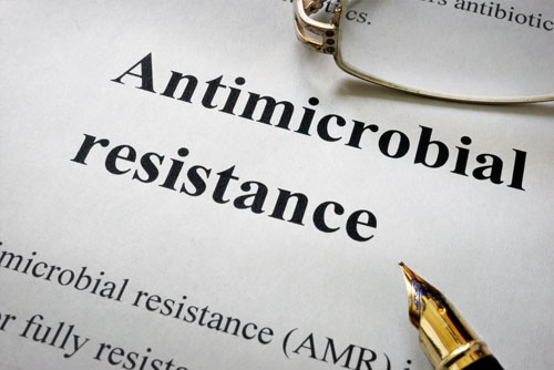 Anti Microbial Resistance paper