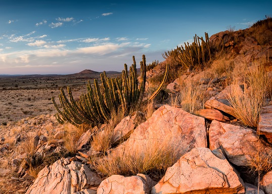 kalahari desert tuberculosis research