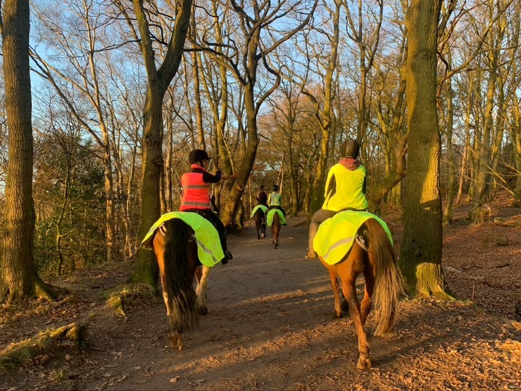 Movement of horses creates networks of contacts and clustering in time and space, which can facilitate disease introduction and spread.