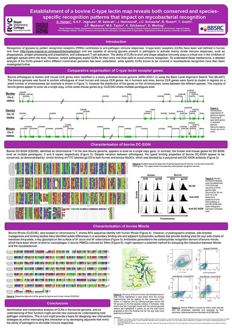 Poster presentation