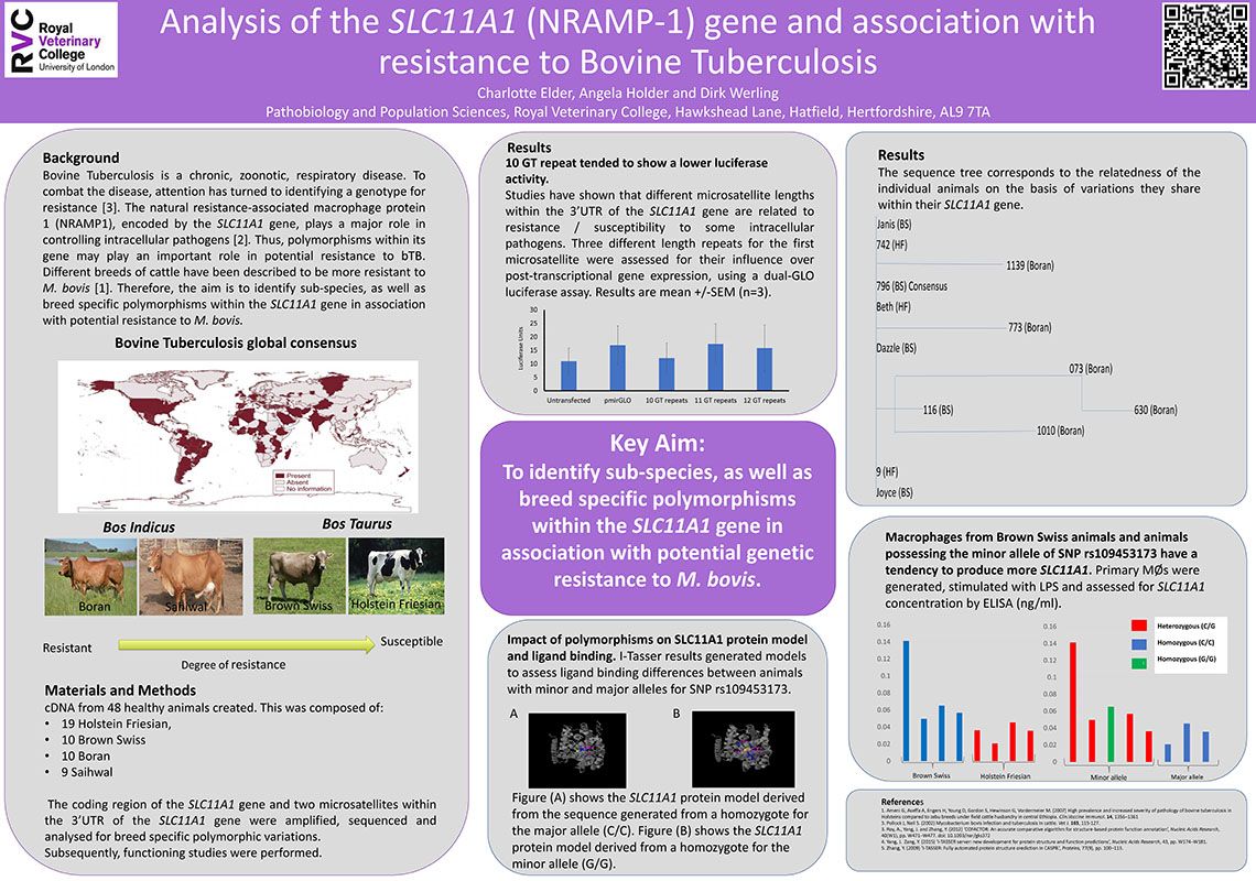 Charlotte Elder's poster presentation at EVIW 2018