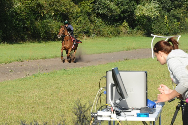 Dr Zoe Davies collects data from force plates buried under the racing surface at the British Racing School in Newmarket. Photo: Alan Wilson