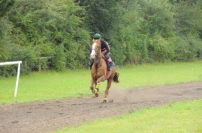 A jockey at the British Racing School gallops a racehorse over force plates buried under the track. Photo: Alan Wilson