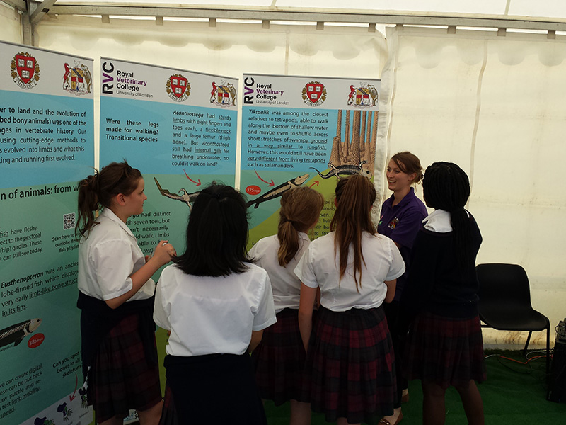 children in front of exhibition stand