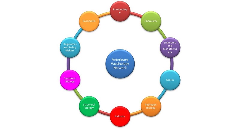 graphic of the Veterinary Vaccinology Network ring