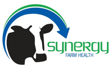 Synergy Logo