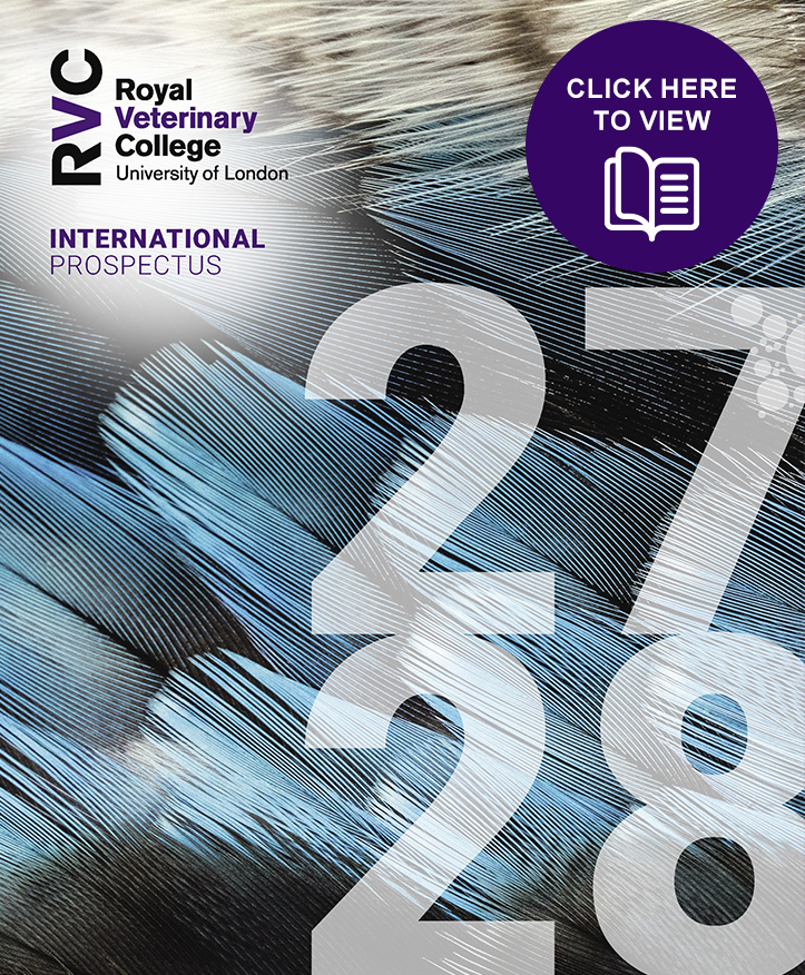 front cover of the International Prospectus 2027-2028