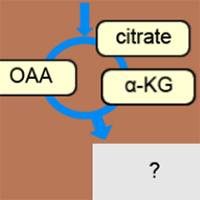 Metabolic Organiser icon