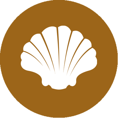 Bivalves